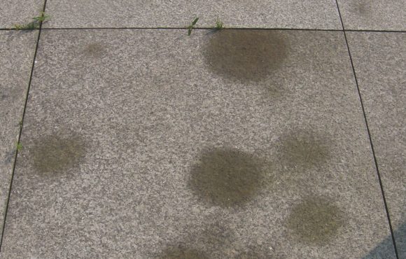 Terrasse_Rostflecken_vorher_12